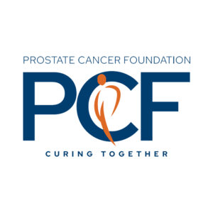 13_PCF
